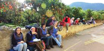 Campo